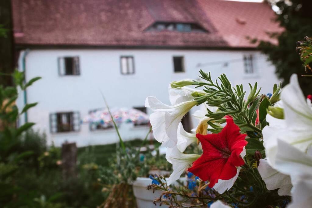 Enjoy Cozy Romance Hills Forest Gardens Views Sauna Whirlpool Bath Jablonné v Podještědí Exteriér fotografie